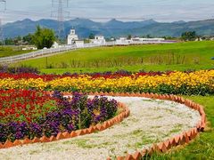 -紫颐香薰山谷景区