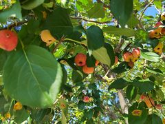 -野鸭湖国家湿地公园