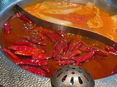 -麻田会 ·鲜活现烹·牛蛙火锅(珠江新城维家思广场店)
