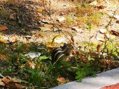 -长春市南湖公园