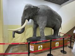 -国家自然博物馆