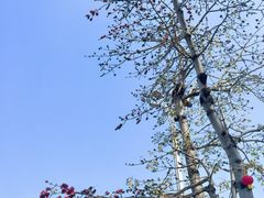 -北海市海滨公园