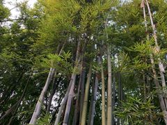 -广州市干部健康管理中心