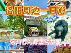 -栾川竹海野生动物园