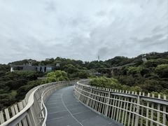 -福道