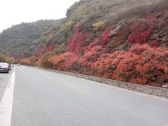 -白草畔自然风景区