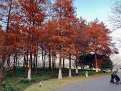 -自然谷恐龙园