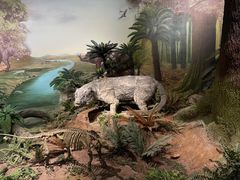 -湖南省地质博物馆