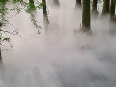 -东湖落雁景区