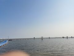 -碧海金沙