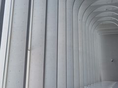 -中国宣纸文化园