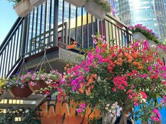 -深圳湾创业广场