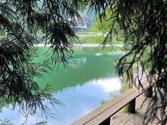 -武陵山森林公园