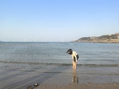 -长江澳风力发电景观区