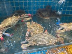 -良师门滨海人家·海鲜·家常菜(滨海城店)