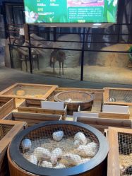 -酷嗒动物文化乐园(cutezoo西溪乐天城店)