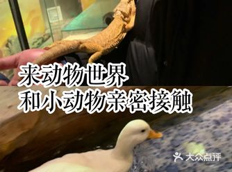 来动物世界和小动物亲密接触