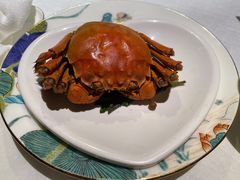 -鱼翅楼·津派砂锅鱼翅(水上公园店)
