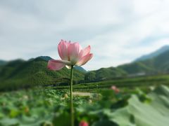 -井空里大峡谷