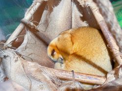 -Zoolung Zoolung动物主题公园(海信广场店)