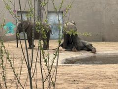 -鄂尔多斯野生动物园