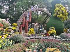 -杭州植物园