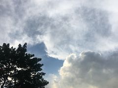 -大门水乡·顺德菜