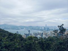 -香港大学