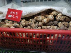 -太婆天府山珍酒楼(亚运村店)