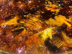 -肖肖酸萝卜鱼火锅(总店)