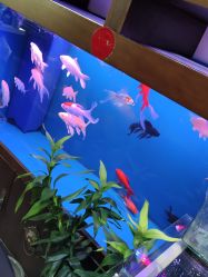 -灵彩珠宝(朗香街店)