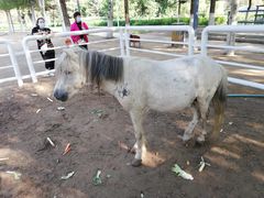 -长白岛森林公园