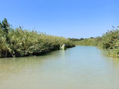 -泗洪洪泽湖湿地景区