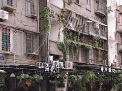 -溪岸路花鸟市场