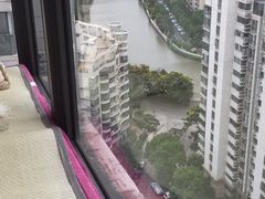 -新湖明珠城