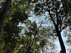 -南国桃园旅游度假区