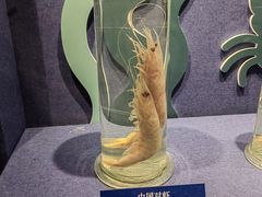 -大连自然博物馆