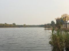 -东郊湿地公园
