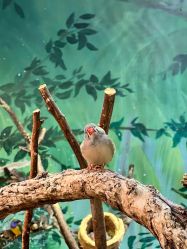 -Zoolung Zoolung动物主题公园(海信广场店)