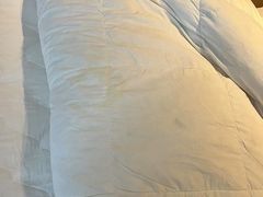 -香港港岛英迪格酒店