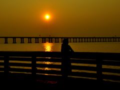 -宝安西湾红树林湿地公园