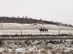 -塞罕坝国家级自然保护区