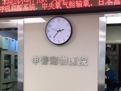 -申普宠物医院·心脏介入·心血管微创(总院)