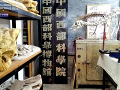 -重庆自然博物馆(新馆)