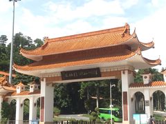 -深圳仙湖植物园