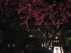 -国御温泉度假小镇