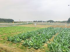 -重元寺香积厨素斋馆