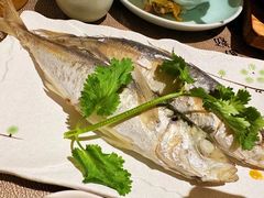 -大浪潮·潮汕菜·招牌生腌小青龙(福田店)