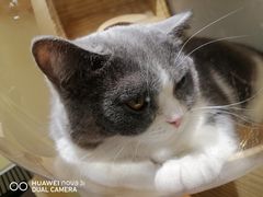-猫和宫(六道口店)