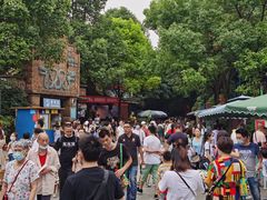 -南湖梦幻岛